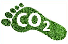 Empreinte de carbone composée de feuillage avec le symbole CO2 en blanc.